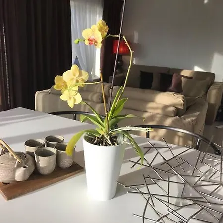 Apartment Topp Moderne Suite. Larvik